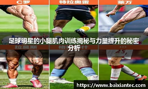 BG大游官网